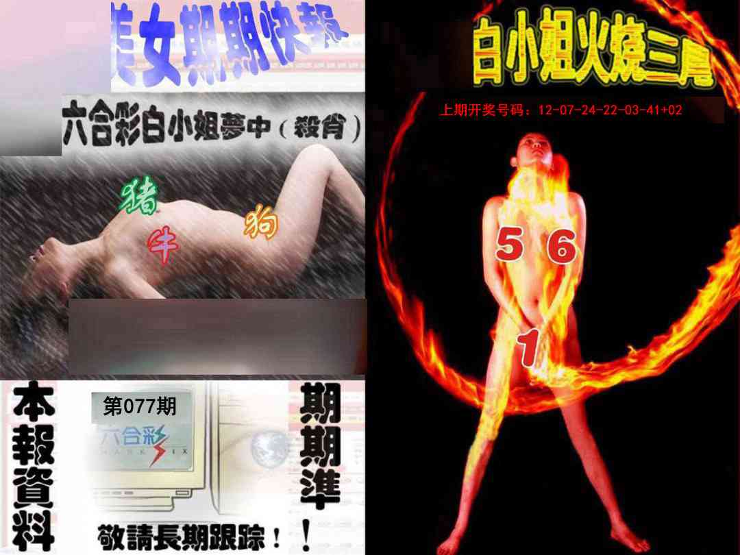 077期环球美女特码报[图]